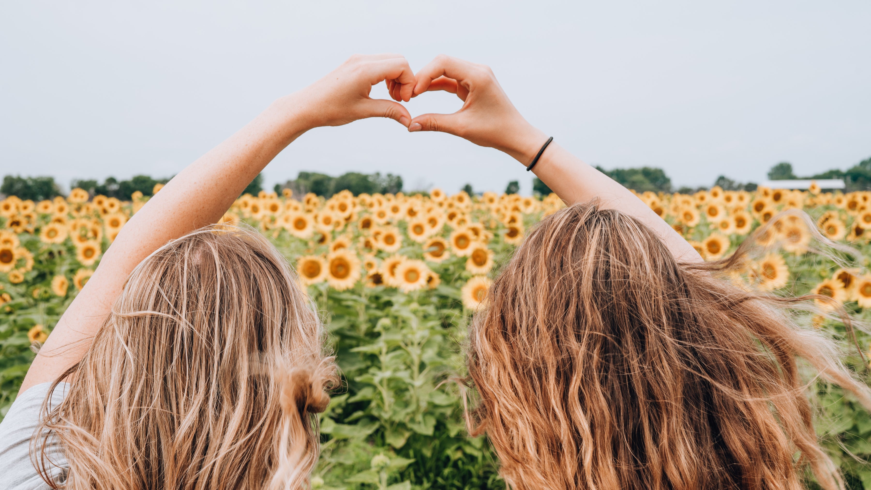 Ultimate Cheat Sheet for Sorority Rush — GreekU