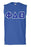 Discount Phi Delta Theta Lettered Sleeveless Tee DISCOUNT- Phi Delta Theta Lettered Sleeveless Tee