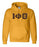 Discount Iota Phi Theta Lettered Hooded Sweatshirt Best Value DISCOUNT Iota Phi Theta Lettered Hooded Sweatshirt - Best Value