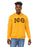 Iota Phi Theta Greek Lettered Arch Hooded Sweatshirt Iota Phi Theta Greek Lettered Arch Hooded Sweatshirt