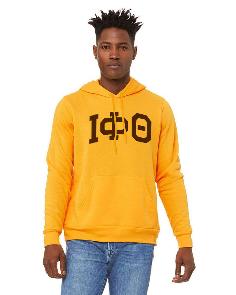 Iota Phi Theta Greek Lettered Arch Hooded Sweatshirt Iota Phi Theta Greek Lettered Arch Hooded Sweatshirt