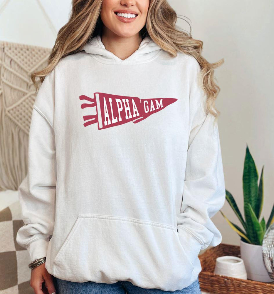 Alpha Gamma Delta Alpha Gam Pennant Hooded Sweatshirt Alpha Gamma Delta - Alpha Gam Pennant Hooded Sweatshirt