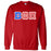 Discount Beta Theta Pi Greek Letter American Flag Crewneck DISCOUNT-Beta Theta Pi Greek Letter American Flag Crewneck