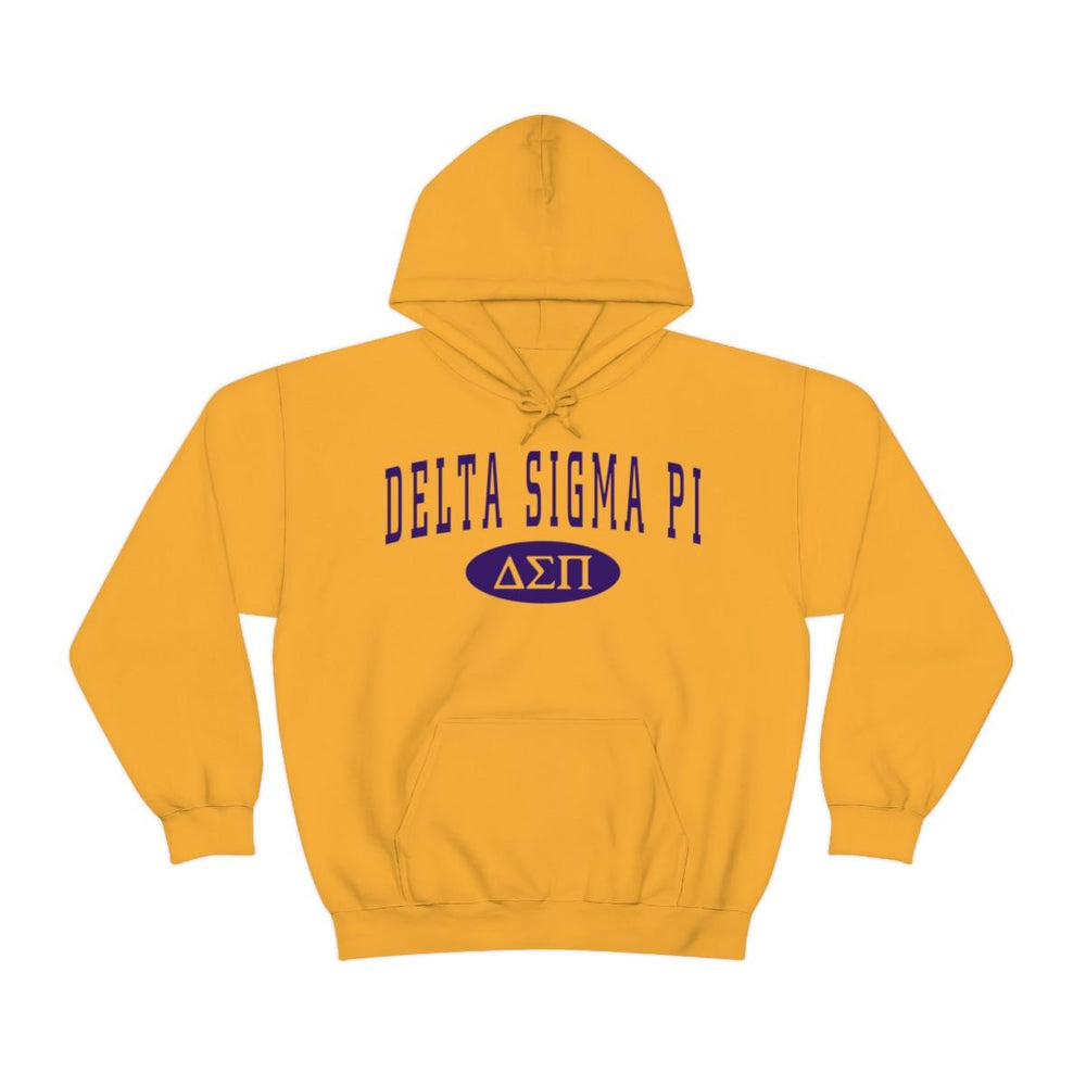 Delta Sigma Pi Group Hooded Sweatshirts Delta Sigma Pi Group Hooded Sweatshirts