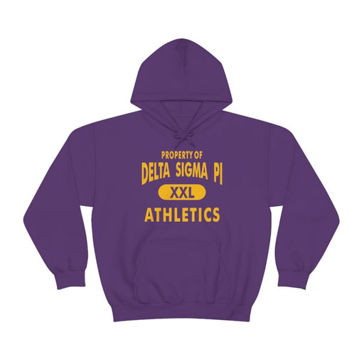 Delta Sigma Pi Delta Sigma Pi Property Of Athletics Hooded Sweatshirts