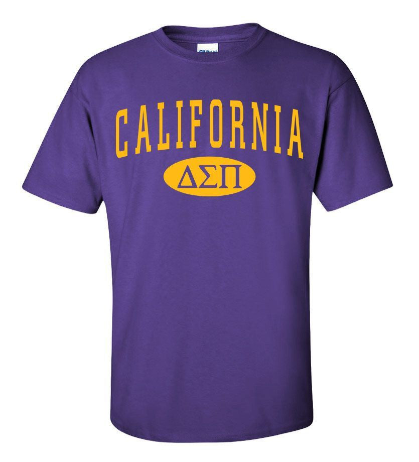 Delta Sigma Pi State Shirt Delta Sigma Pi State Shirt