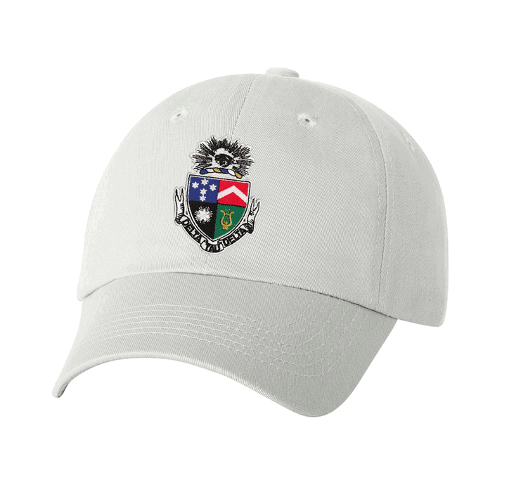 Discount Delta Tau Delta Crest Shield Hat DISCOUNT-Delta Tau Delta Crest - Shield Hat