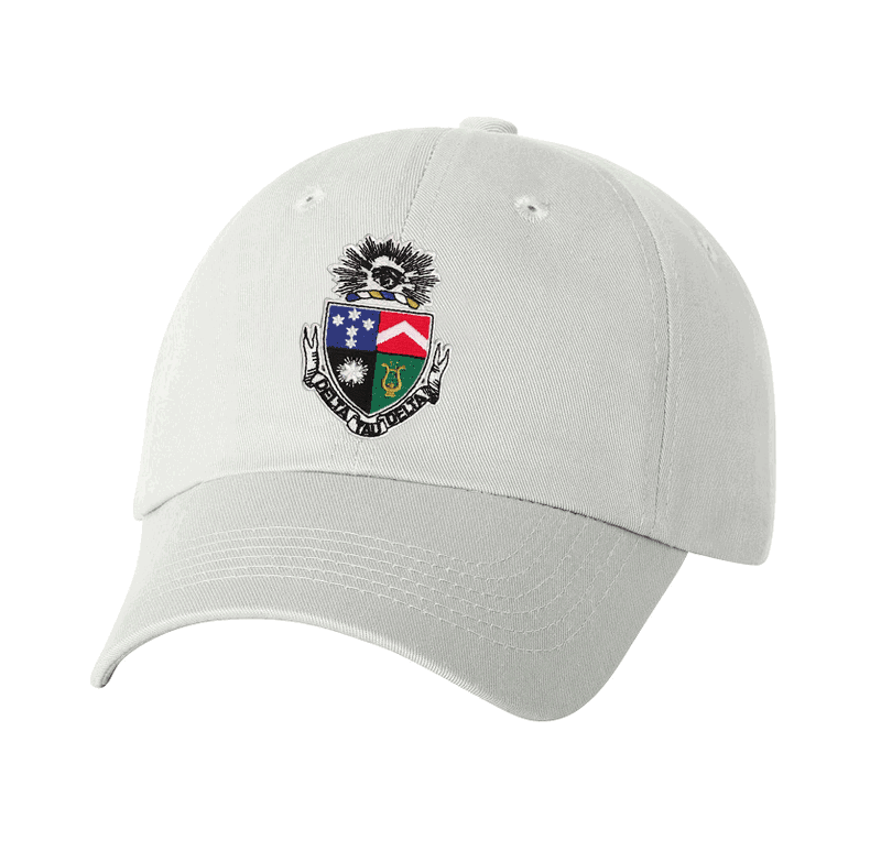 Discount Delta Tau Delta Crest Shield Hat DISCOUNT-Delta Tau Delta Crest - Shield Hat