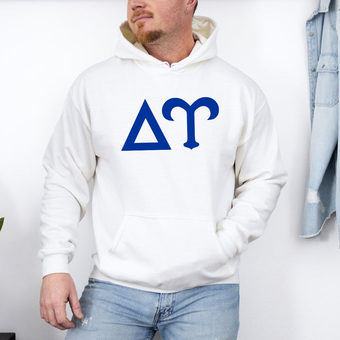 Delta Upsilon Letter Hoodie Delta Upsilon letter Hoodie