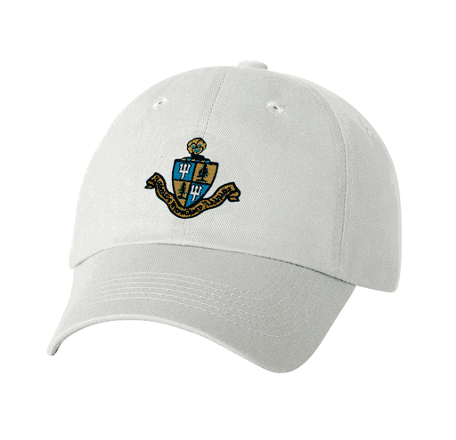 Delta Delta Delta DISCOUNT-Delta Delta Delta Crest - Shield Hat