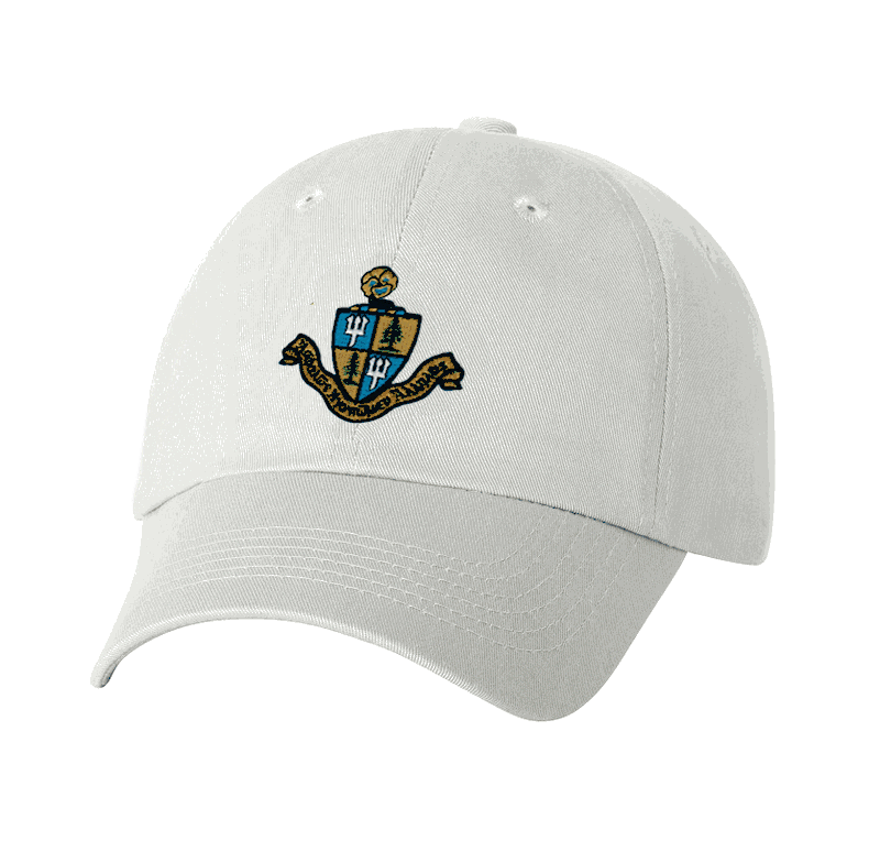 Discount Delta Delta Delta Crest Shield Hat DISCOUNT-Delta Delta Delta Crest - Shield Hat
