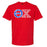 Discount Theta Chi Greek Letter American Flag T Shirts DISCOUNT-Theta Chi Greek Letter American Flag T-shirts
