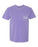 Fiji Greek Letter Comfort Colors Pocket Tee FIJI Fraternity - Phi Gamma Delta Greek Letter Comfort Colors Pocket Tee