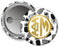 Phi Mu Faux Gold Foil Pineapple Button Phi Mu Faux Gold Foil Pineapple Button