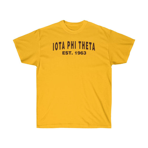 Iota Phi Theta Iota Phi Theta Established T-Shirt