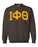 Iota Phi Theta Greek Lettered Arch Crewneck Sweatshirt Iota Phi Theta Greek Lettered Arch Crewneck Sweatshirt