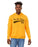 Iota Phi Theta Tail Hoodie Iota Phi Theta Tail Hoodie