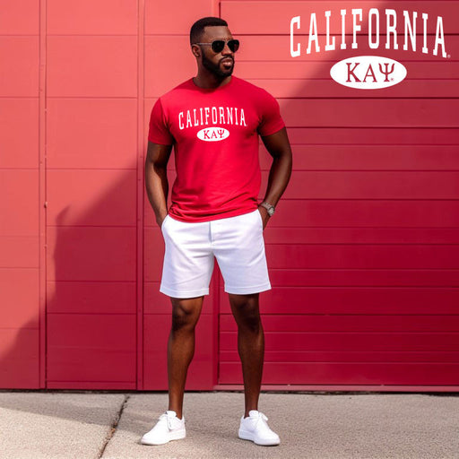 Kappa Alpha Psi Kappa Alpha Psi State T-shirts