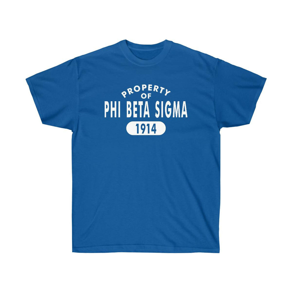 Printify Phi Beta Sigma Property Of Established Tees Phi Beta Sigma Property Of Established Tees