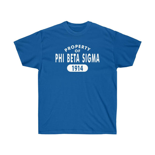 Phi Beta Sigma Phi Beta Sigma Property Of Established Tees