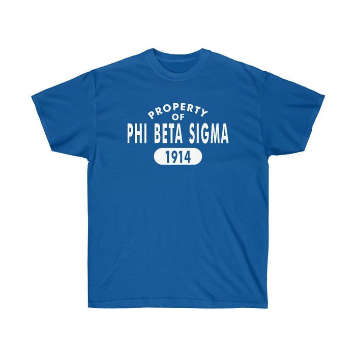 Printify Phi Beta Sigma Property Of Established Tees Phi Beta Sigma Property Of Established Tees