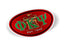 Phi Kappa Psi Color Oval Decal Phi Kappa Psi Color Oval Decal
