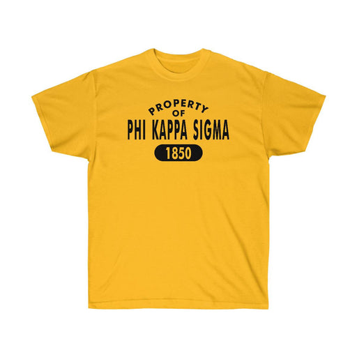 Phi Kappa Sigma Phi Kappa Sigma Established T-Shirt