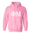 Phi Mu World Famous $30 Greek Hoodie Phi Mu World Famous  Greek Hoodie