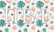 Pi Beta Phi New Succulent Flag Pi Beta Phi New Succulent Flag