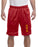 Pi Kappa Alpha Mesh Short Pi Kappa Alpha Mesh Short