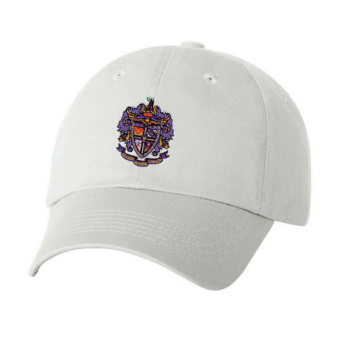 Discount Sigma Alpha Epsilon Crest Shield Hat DISCOUNT-Sigma Alpha Epsilon Crest - Shield Hat