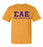 Sigma Alpha Epsilon Greek Custom Comfort Colors Heavyweight T Shirt Sigma Alpha Epsilon Greek Custom Comfort Colors Heavyweight T-Shirt