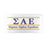 Sigma Alpha Epsilon Lettered Lines License Covers Custom SIGMA ALPHA EPSILON LETTERED LINES LICENSE COVERS - Custom