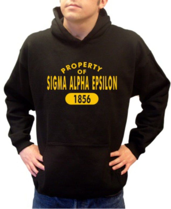Sigma Alpha Epsilon Property Of Established Sigma Alpha Epsilon Property of Established