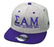 Sigma Alpha Mu Flatbill Snapback Hats Original Sigma Alpha Mu Flatbill Snapback Hats Original