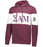 Sigma Alpha Mu Ivy League Hoodie W Crest On Left Sleeve Sigma Alpha Mu Ivy League Hoodie W Crest On Left Sleeve