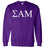 Sigma Alpha Mu Lettered World Famous Greek Crewneck Sigma Alpha Mu Lettered World Famous Greek Crewneck