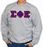 Sigma Phi Epsilon Lettered Crewneck Sweatshirt Sigma Phi Epsilon Lettered Crewneck Sweatshirt