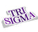 Sigma Sigma Sigma Die Cut Nickname Sticker Sigma Sigma Sigma Die Cut Nickname Sticker