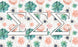 Sigma Sigma Sigma New Succulent Flag Sigma Sigma Sigma New Succulent Flag