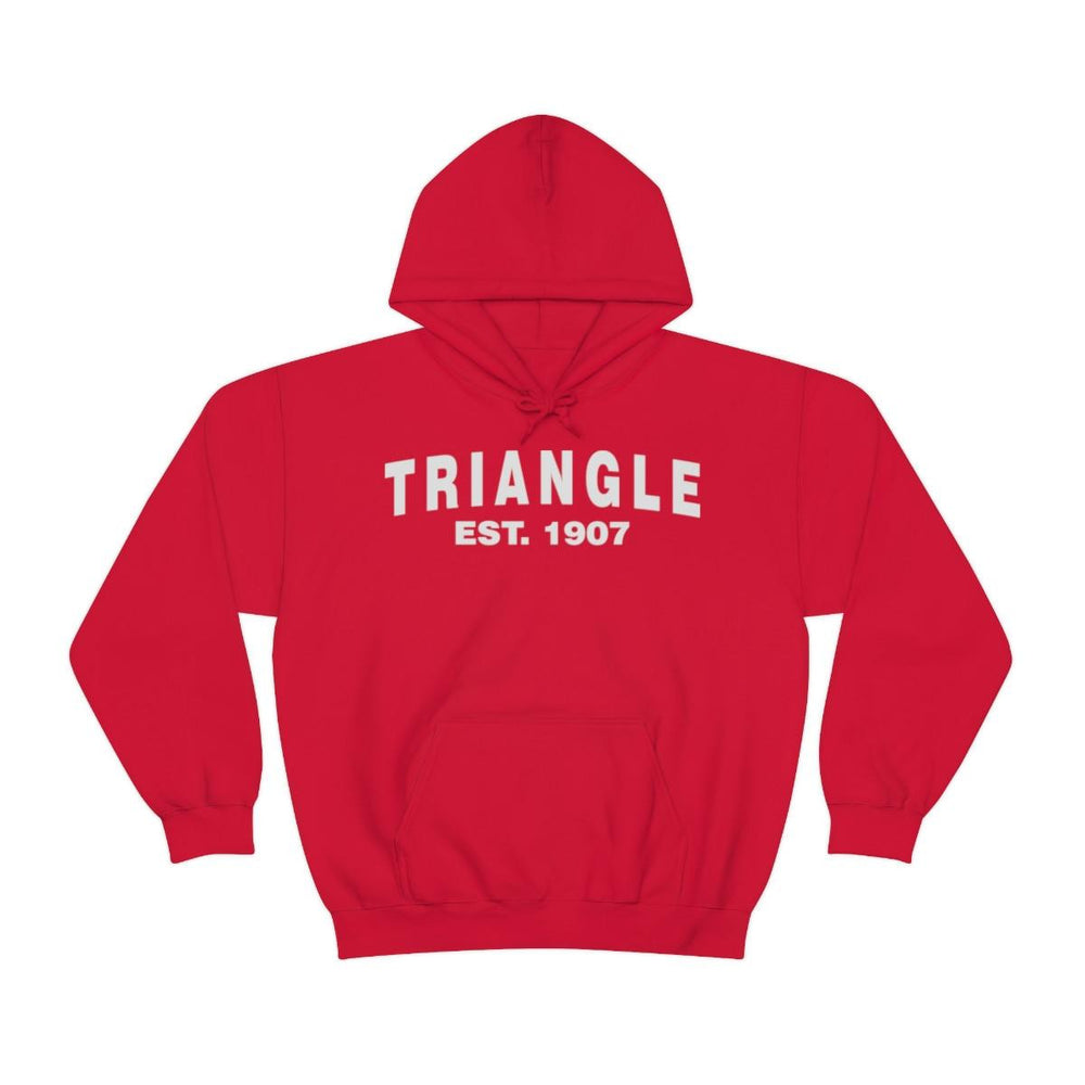 Triangle Established Hooded Sweatshirts Triangle Established Hooded Sweatshirts