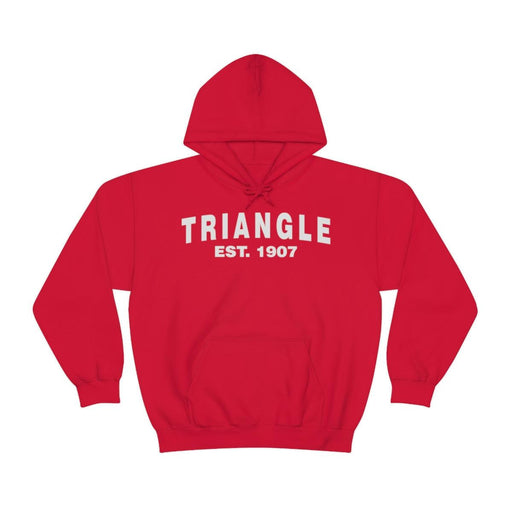 Triangle Established Hooded Sweatshirts