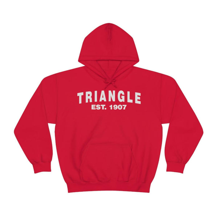 Triangle Established Hooded Sweatshirts Triangle Established Hooded Sweatshirts