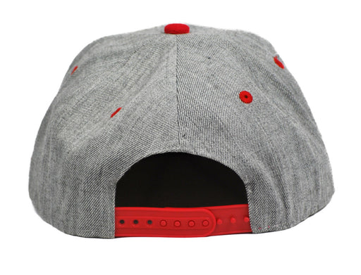 TRIANGLE Flatbill Snapback Hats Original