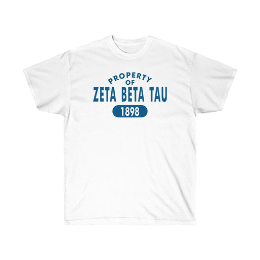 Zeta Beta Tau Zeta Beta Tau Established T-Shirt