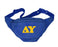 Delta Upsilon Letters Layered Fanny Pack