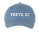 Theta Xi Comfort Colors Varsity Hat