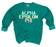 Alpha Epsilon Phi Comfort Colors Pastel Sorority Sweatshirt