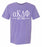 Alpha Kappa Delta Phi Comfort Colors Established Sorority T-Shirt