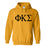 Phi Kappa Sigma World Famous Hoodie